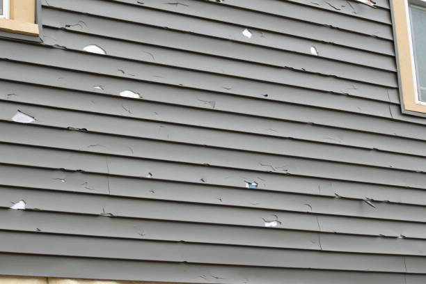  Noblesville, IN Siding Installation Pros